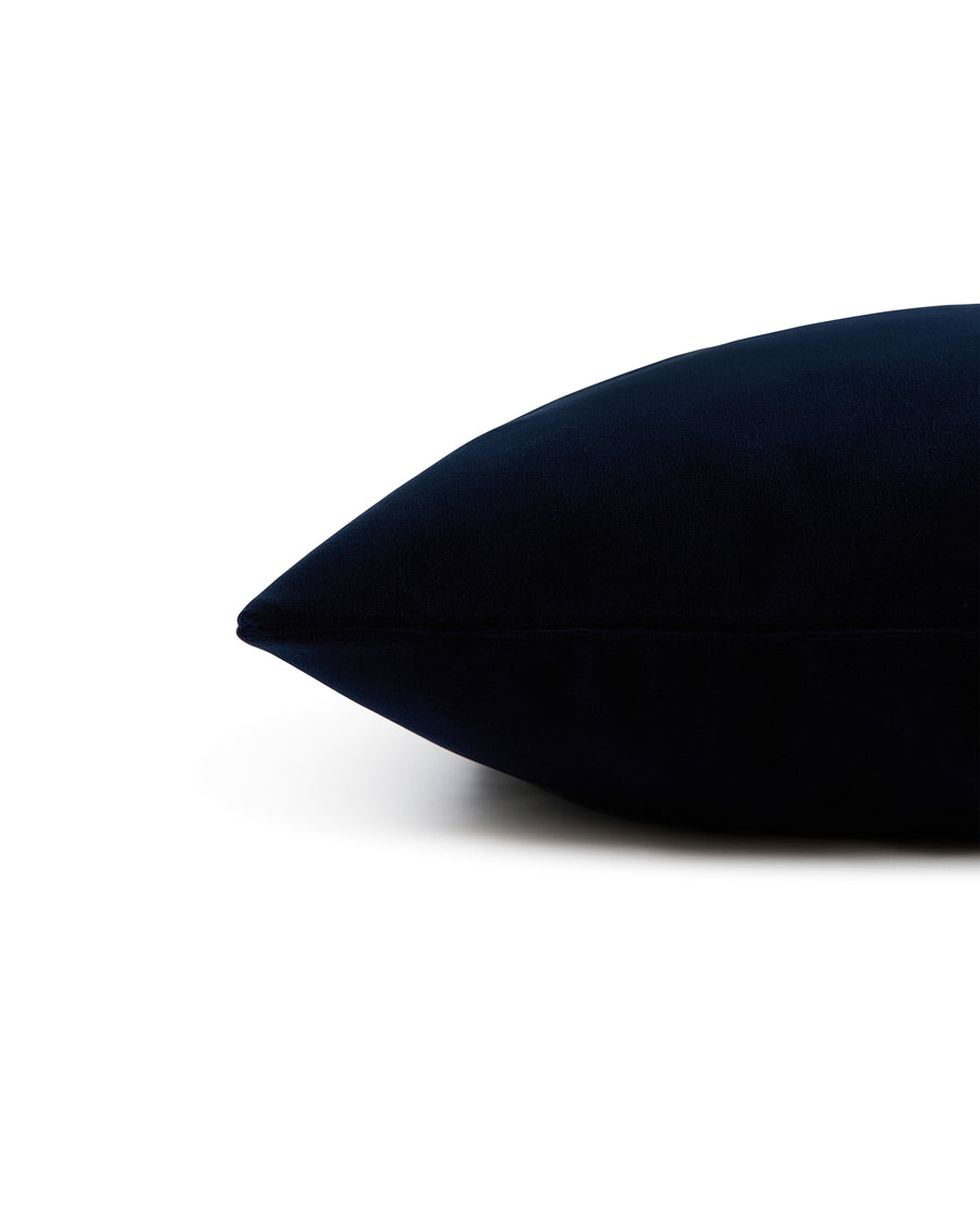 Riva Cushion in Velvet