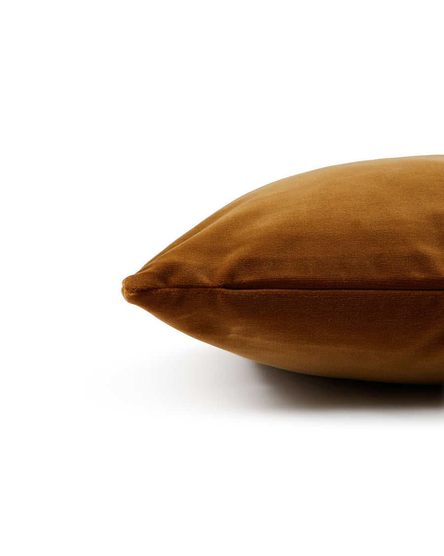 Riva Cushion in Velvet