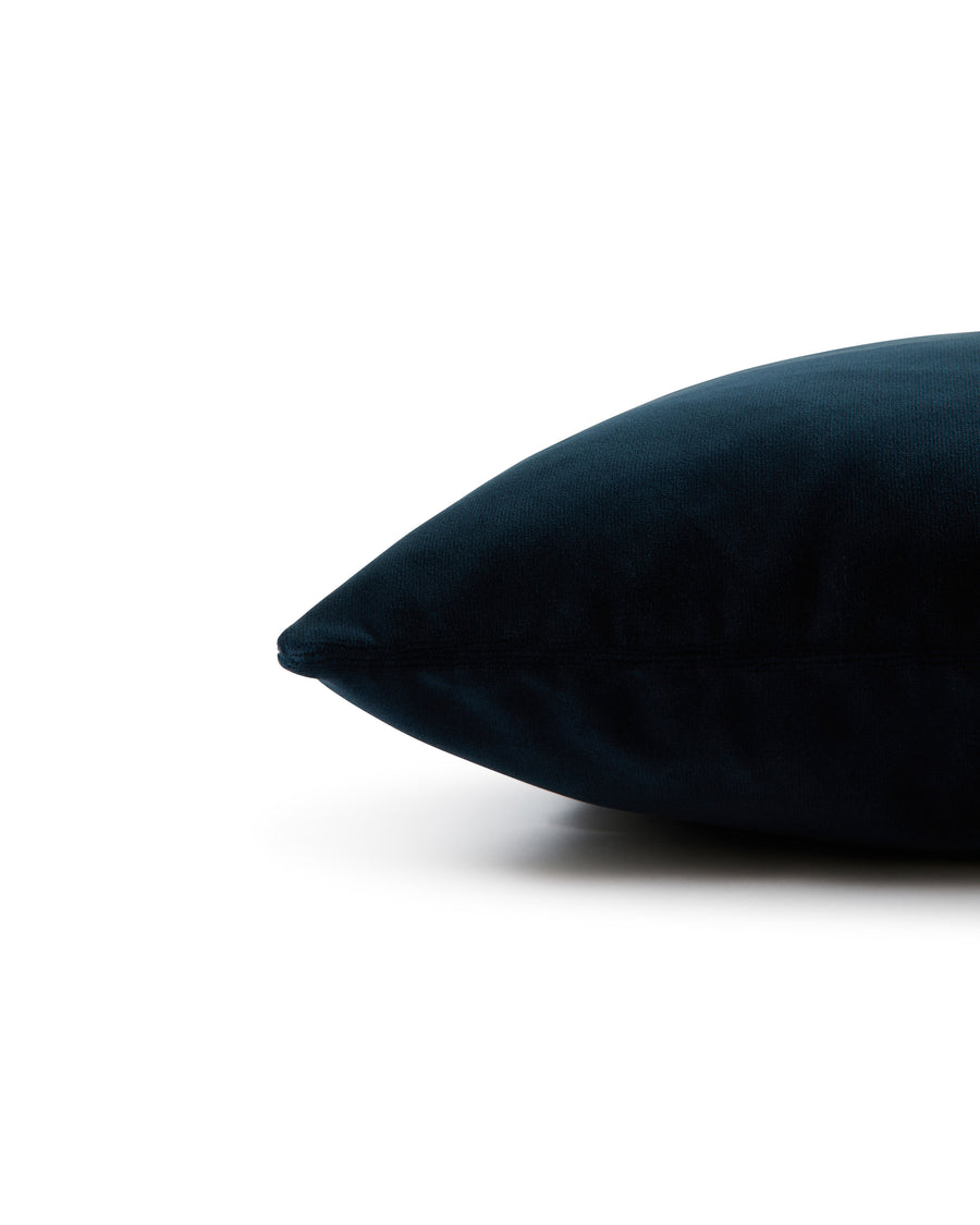 Riva Cushion in Velvet