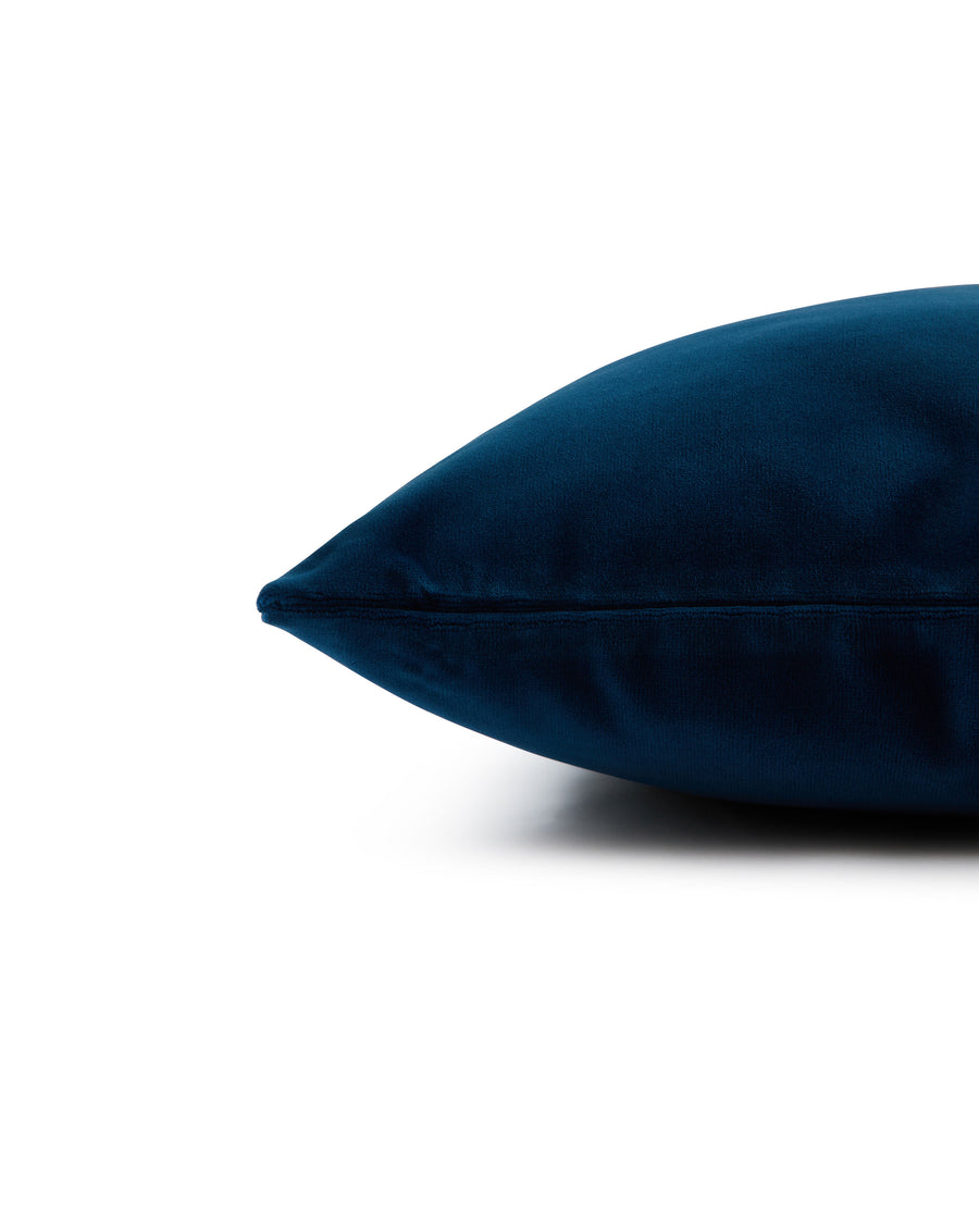 Riva Cushion in Velvet