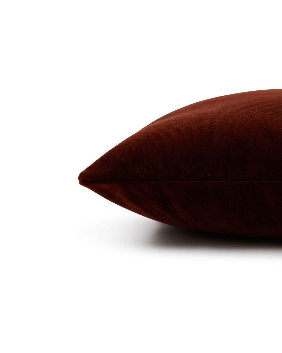 Riva Cushion in Velvet