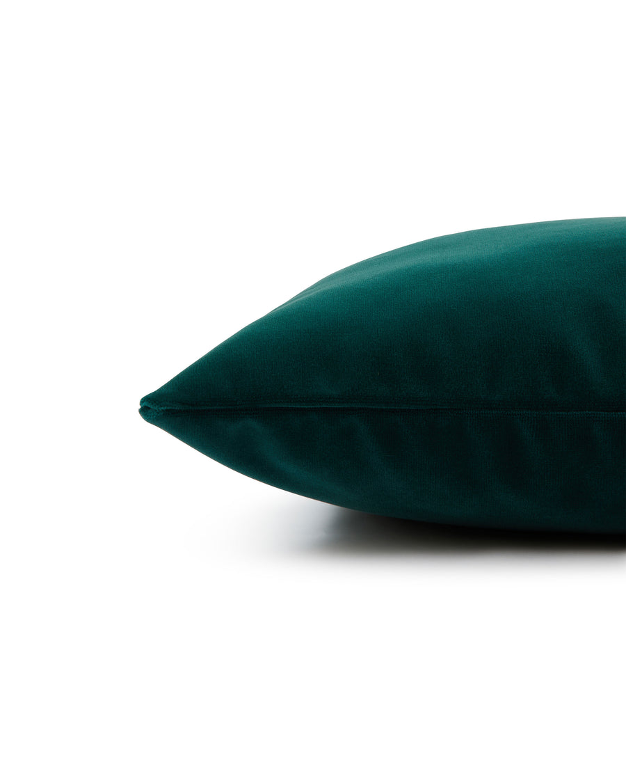 Riva Cushion in Velvet