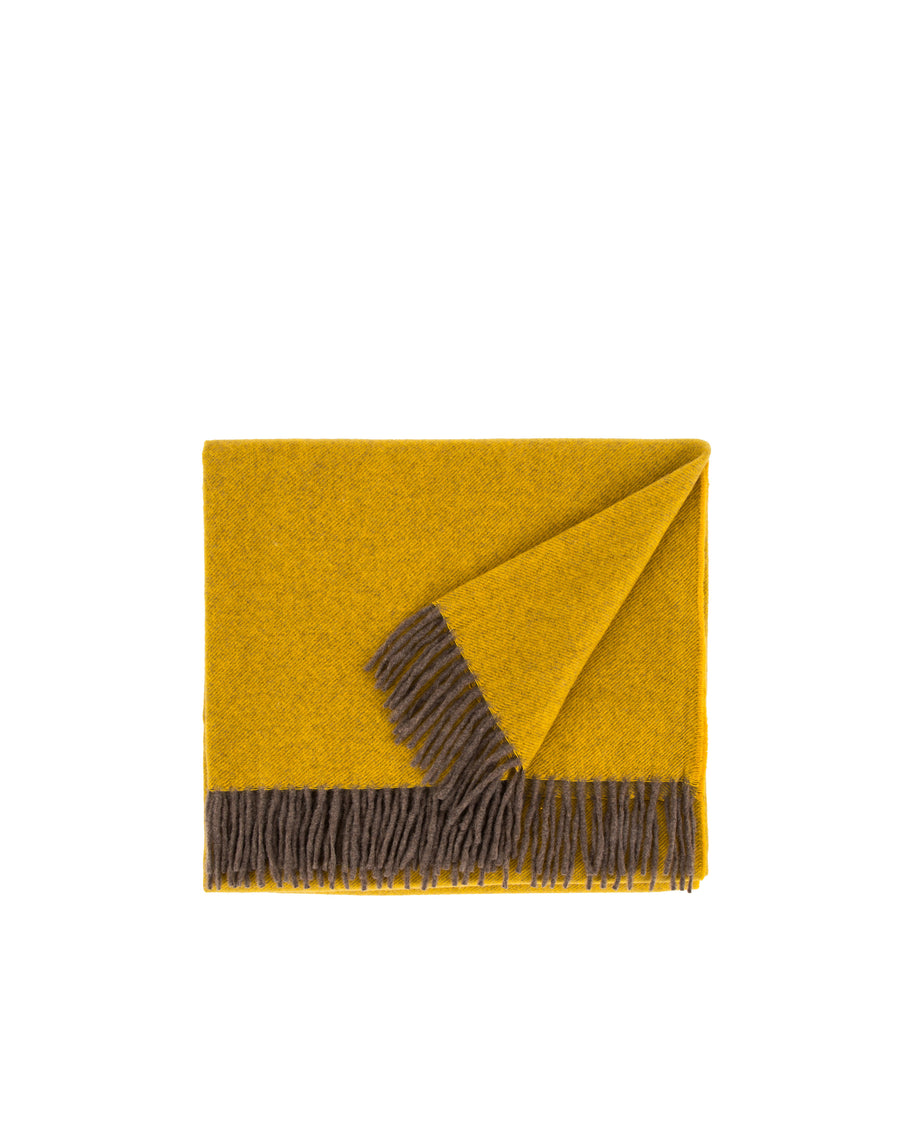 Everest color plaid in puro cashmere - 130x180 cm - 51"x70" in / Oro (4772024004239)